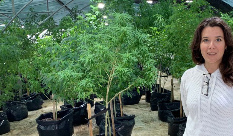Buying and Selling CBD Internationally with Sovereignport